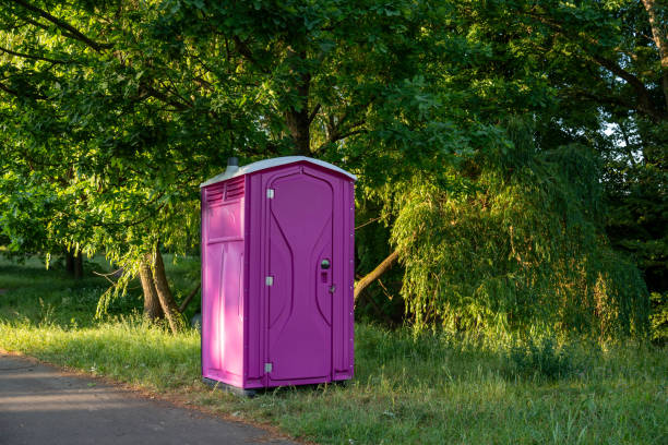 Best Portable bathroom rental  in Ortonville, MI